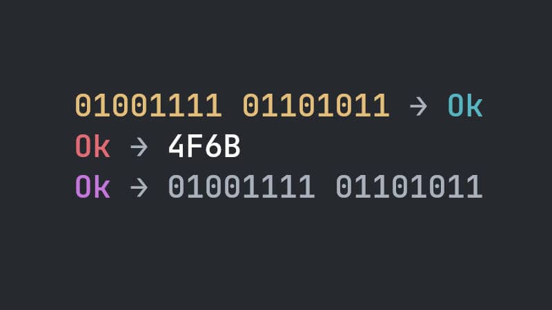 How to Convert ASCII to Binary and Hexadecimal and vice versa with C++