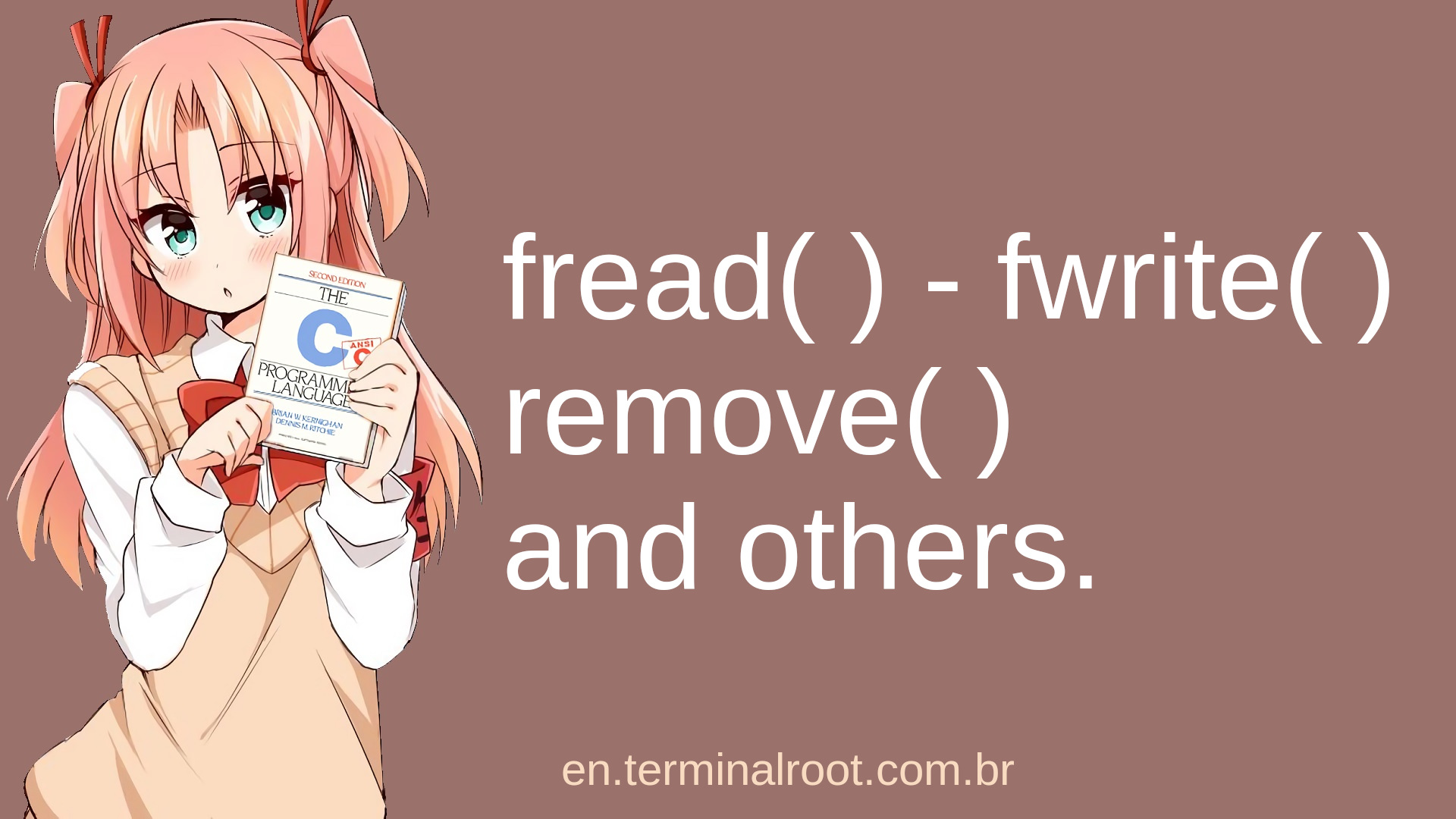 Examples of functions: fread(), fwrite(), remove() and others in C