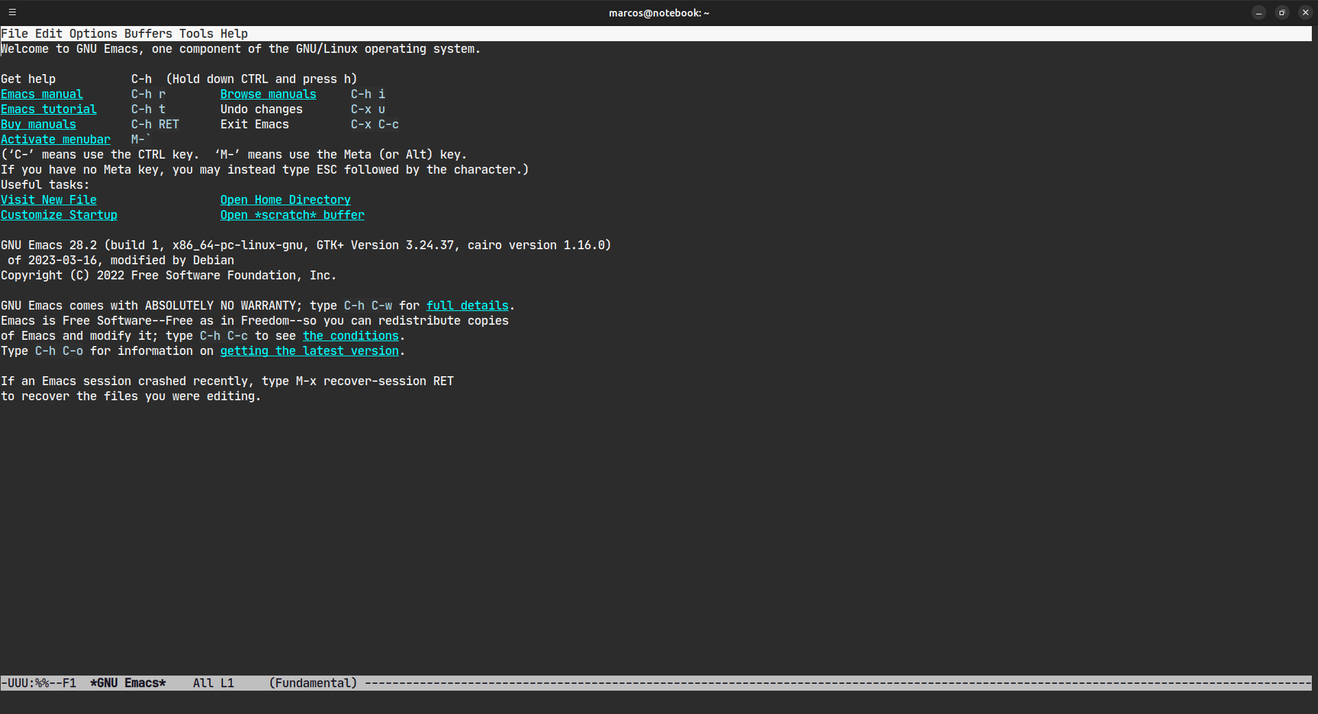 GNU Emacs terminal mode