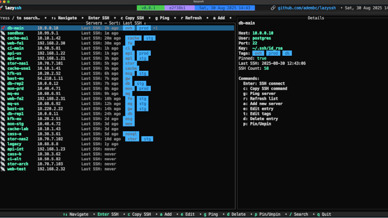🔳 Written in Go. Meet This SSH Multi-Server Manager