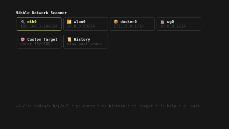 Install This Modern Network Scanner with TUI Mode