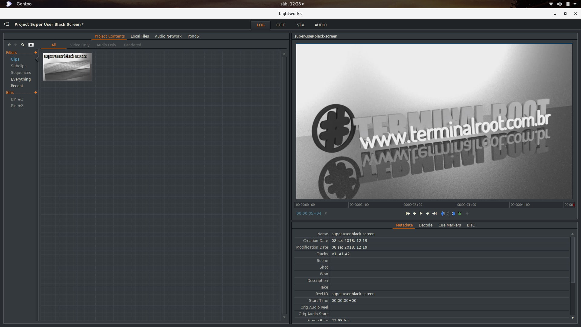 Installing Lightworks on Gentoo