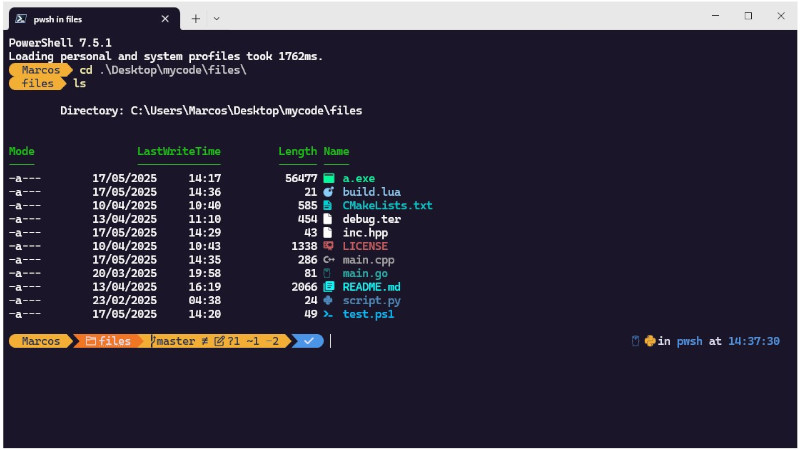 Customize Your PowerShell Like a Pro
